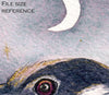 Digital File - Night Heron Bird Animal Artwork Printable Watercolor Painting Clip Art Color JPG Download