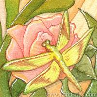 Rose dragonfly watercolor painting art aquarelle watercolour Paul Rubens art supply review