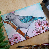 Daniel Smith Joseph Z's Cool Grey Watercolor Painting Blue-Gray Tanager Bird