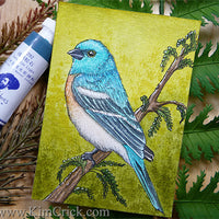 Lazuli Bunting bird art painting drawing Paul Rubens watercolor tube set refill review