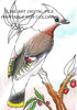 Digital File - Bohemian Waxwing Bird Line Drawing Digi Stamp Printable Jpg Download