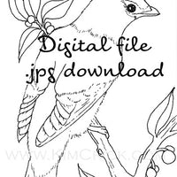 Digital File - Bohemian Waxwing Bird Line Drawing Digi Stamp Printable Jpg Download