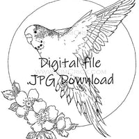 Digital File - Parakeet Bird Digi-Stamp JPG Line Drawing Artwork Clip Art Download