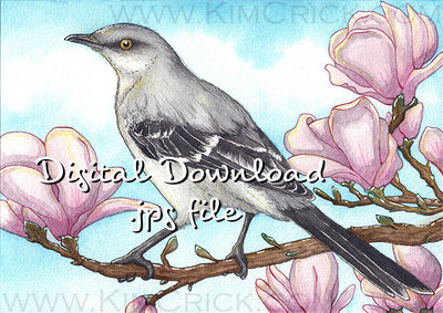 Digital File - Northern Mockingbird Color Painting Printable Bird Art Download