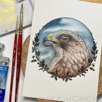 Original Art - Red Shouldered Hawk Bird Art Maimeri Blu Watercolor Painting (5x7, Not a Print)