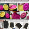 Flexible Push Mold Detailed Chrysanthemum Button