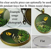 Laser Cut Acrylic Clear 38mm Circle Disc with picture insert