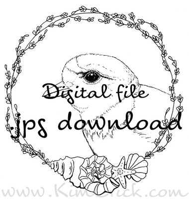 Digital File - Piping Plover Shore Bird Drawing Printable Adult Coloring Page Practice Painting Download