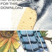 Digital File - Blue Jay Bird Color Painting Printable Clip Art Download