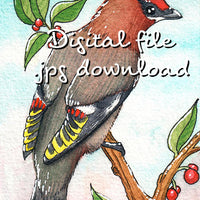 Digital File - Bohemian Waxwing Bird Watercolor Artwork Color Painting Clip Art Printable Download