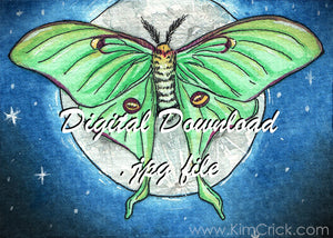  Digital File - Luna Moth Night Moon Watercolor Painting Insect Art Printable Instant Download 
