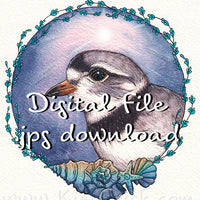 Digital File - Piping Plover Shore Bird Ocean Beach Dawn Color Clip Art Animal Nursery Painting Watercolor