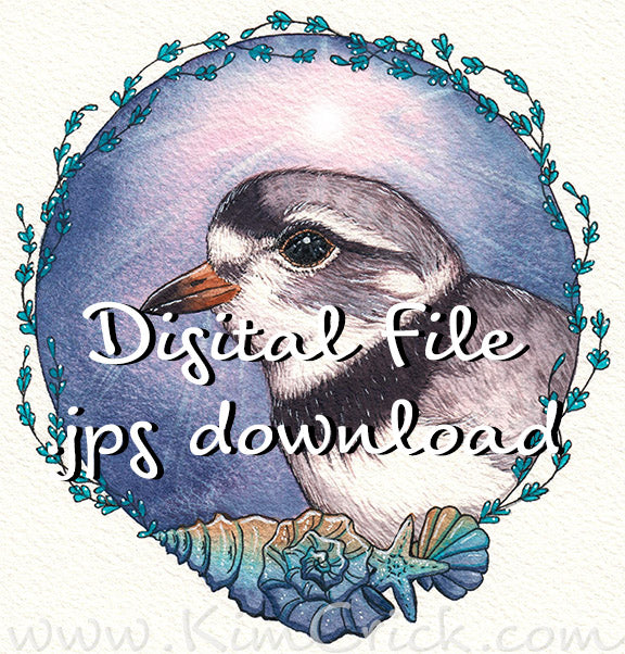 Digital File - Piping Plover Shore Bird Ocean Beach Dawn Color Clip Art Animal Nursery Painting Watercolor
