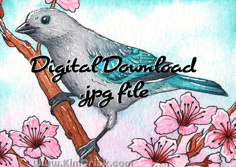 Digital File - Blue-Gray Tanager Bird Watercolor Painting Art Nursery Colorful Teal Animal Printable Download
