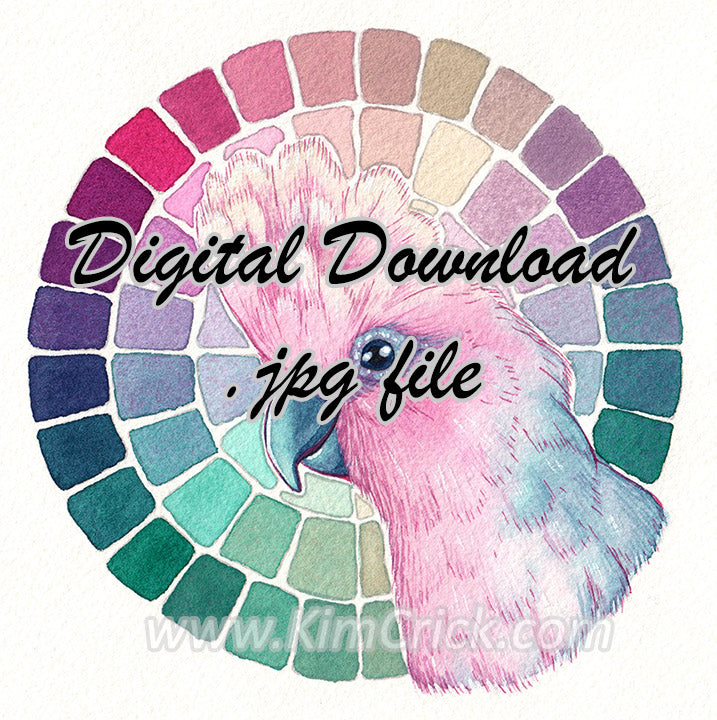  Digital File - Galah Rose-Breasted Cockatoo Feminine Pink Bird Color Wheel Watercolor Painting Printable