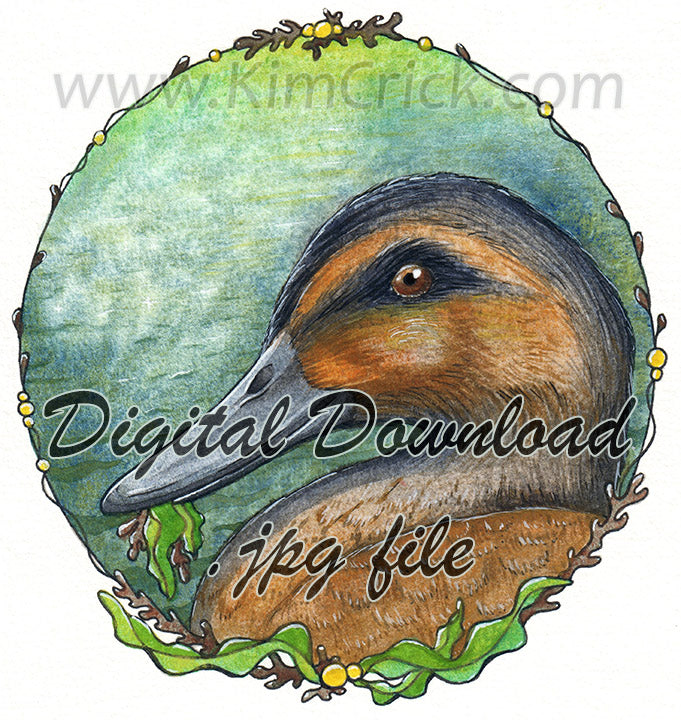  Digital File - Duck Waterfowl Bird Neutral Muted Color Watercolor Painting High Res Art Scan Download to Print