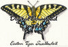  Digital File - Eastern Tiger Swallowtail Butterfly Watercolor Art Painting Nursery Printable Download 