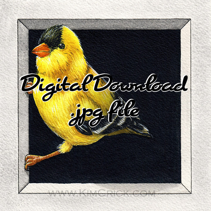  Digital File - Goldfinch Bird Watercolor Painting Printable Colorful Nursery Wall Art Download 