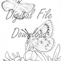 Digital File - Xerces Butterfly Line Drawing Digi Stamp Printable Clip Art Download