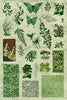 Unmounted Rubber Stamp Set Forest Collage #Fore-M06