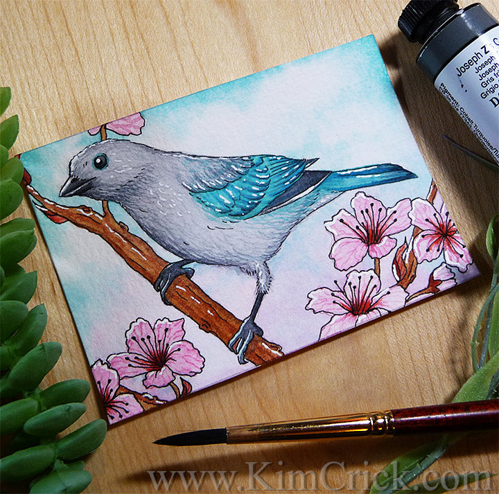 Blue-Gray Tanager Watercolor Painting Daniel Smith Joseph Z's Cool Grey New 2019 color art