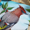 Bohemian Waxwing bird painting watercolor art White Nights Yarka St. Petersburg ATC ACEO