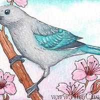 Blue-Gray Tanager Bird Joseph Z's Cool Grey Daniel Smith Watercolor Painting