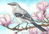 Northern Mockingbird artwork watercolor painting Daniel Smith Joseph Z's Neutral Grey demo review kimberly crick