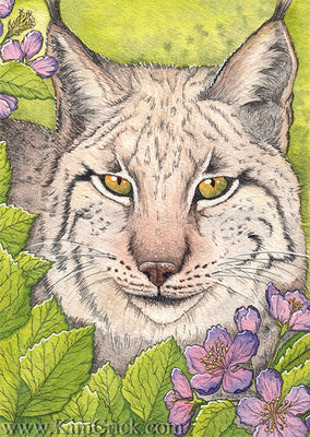 Kimberly Crick Iberian Lynx Animal Artists Collective watercolor painting