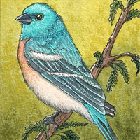 Paul Rubens watercolor Kimberly Crick nature art Lazuli Bunting bird painting drawing tube set refill review