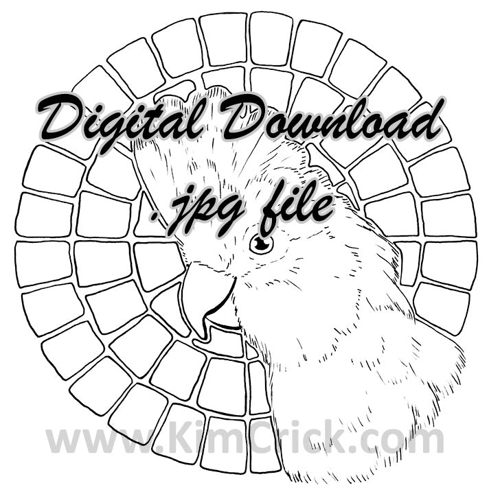 Digital File - Galah Rose-Breasted Cockatoo Bird Coloring Book Printable Ink Line Drawing for Painting Practice