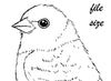 Digital File - Lazuli Bunting Bird ATC Line Drawing Traceable Art Artists Printable Coloring Book Download