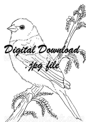 Digital File - Lazuli Bunting Bird ATC Line Drawing Traceable Art Artists Printable Coloring Book Download