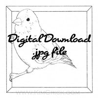 Digital File - Goldfinch Bird Line Art Drawing Printable Coloring Book Page Download