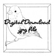 Digital File - Goldfinch Bird Line Art Drawing Printable Coloring Book Page Download