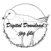 Digital File - Seagull Bird Gull Ink Line Drawing Art Printable Coloring Book Page Instant Download