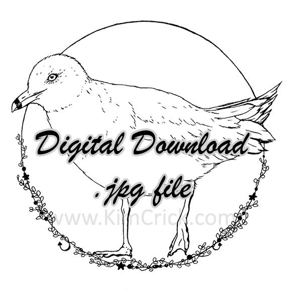 Digital File - Seagull Bird Gull Ink Line Drawing Art Printable Coloring Book Page Instant Download