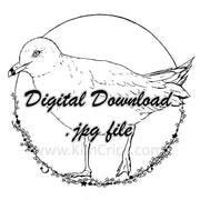 Digital File - Seagull Bird Gull Ink Line Drawing Art Printable Coloring Book Page Instant Download