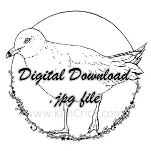 Digital File - Seagull Bird Gull Ink Line Drawing Art Printable Coloring Book Page Instant Download