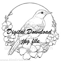  Digital File - Bullock's Oriole Female Bird Pen Ink Line Art Printable Coloring Page Drawing Instant Download 