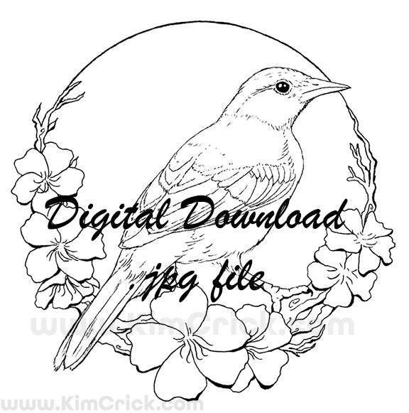  Digital File - Bullock's Oriole Female Bird Pen Ink Line Art Printable Coloring Page Drawing Instant Download 