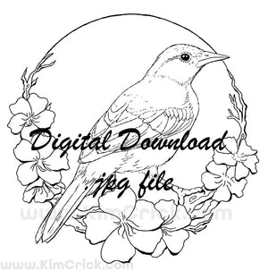  Digital File - Bullock's Oriole Female Bird Pen Ink Line Art Printable Coloring Page Drawing Instant Download 
