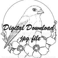  Digital File - Lazuli Bunting Female Song Bird Floral Circle Line Art Drawing Traceable Watercolor Painting Practice Printable Download 