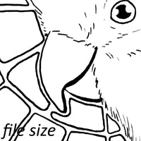Digital File - Galah Rose-Breasted Cockatoo Bird Coloring Book Printable Ink Line Drawing for Painting Practice