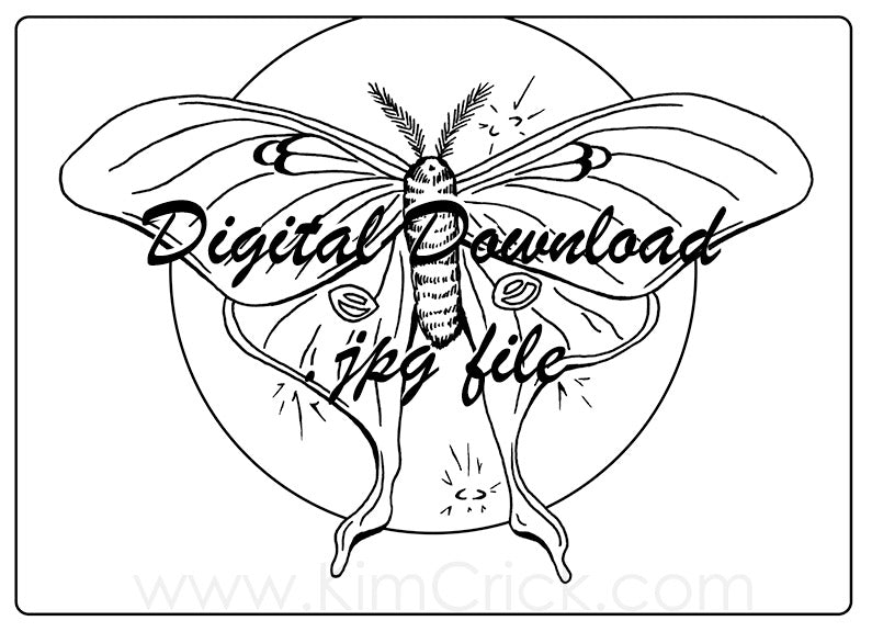  Digital File - Luna Moth Moon Ink Drawing Insect Art Printable Coloring Book Image Instant Download 