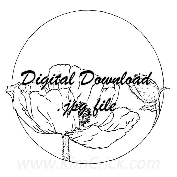 Digital File - Poppy Flower Botanical Ink Line Drawing Clip Art Printable Instant Download