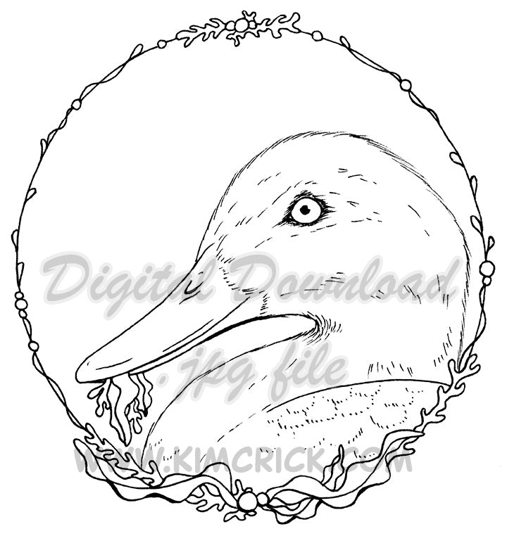  Digital File - Duck Waterfowl Bird Coloring Book Style Line Art Drawing Practice Painting Printable Download 