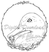  Digital File - Duck Waterfowl Bird Coloring Book Style Line Art Drawing Practice Painting Printable Download 