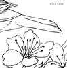 Digital File - Tanager Bird Printable Clip Art Line Ink Drawing Adult Coloring Book Digi Stamp Download