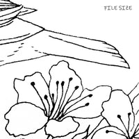 Digital File - Tanager Bird Printable Clip Art Line Ink Drawing Adult Coloring Book Digi Stamp Download